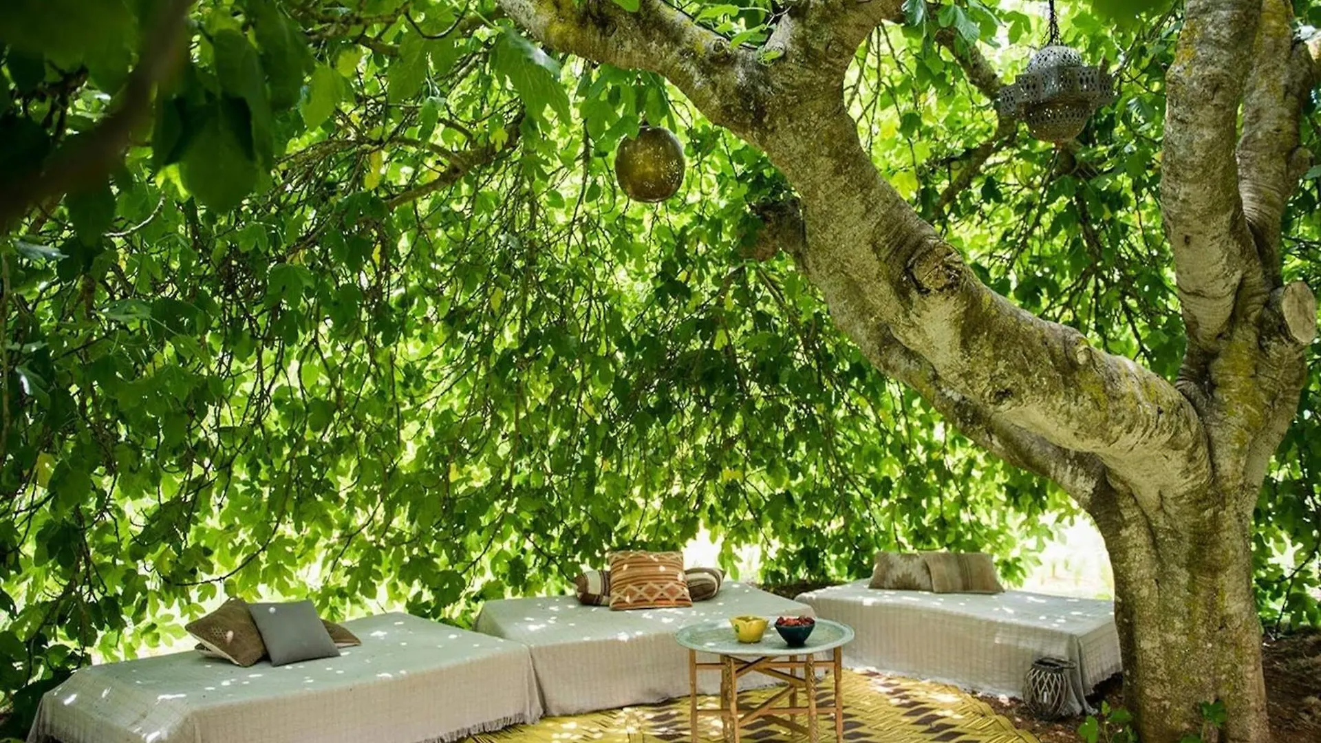 Beautiful Villa In A Romantic Gateway Santa Gertrudis